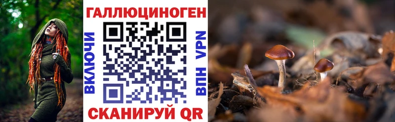 Псилоцибиновые грибы GOLDEN TEACHER  как найти закладки  Зея 