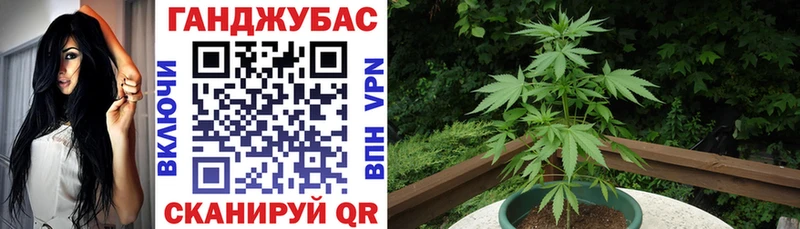 блэк спрут как войти  Зея  Бошки Шишки план 